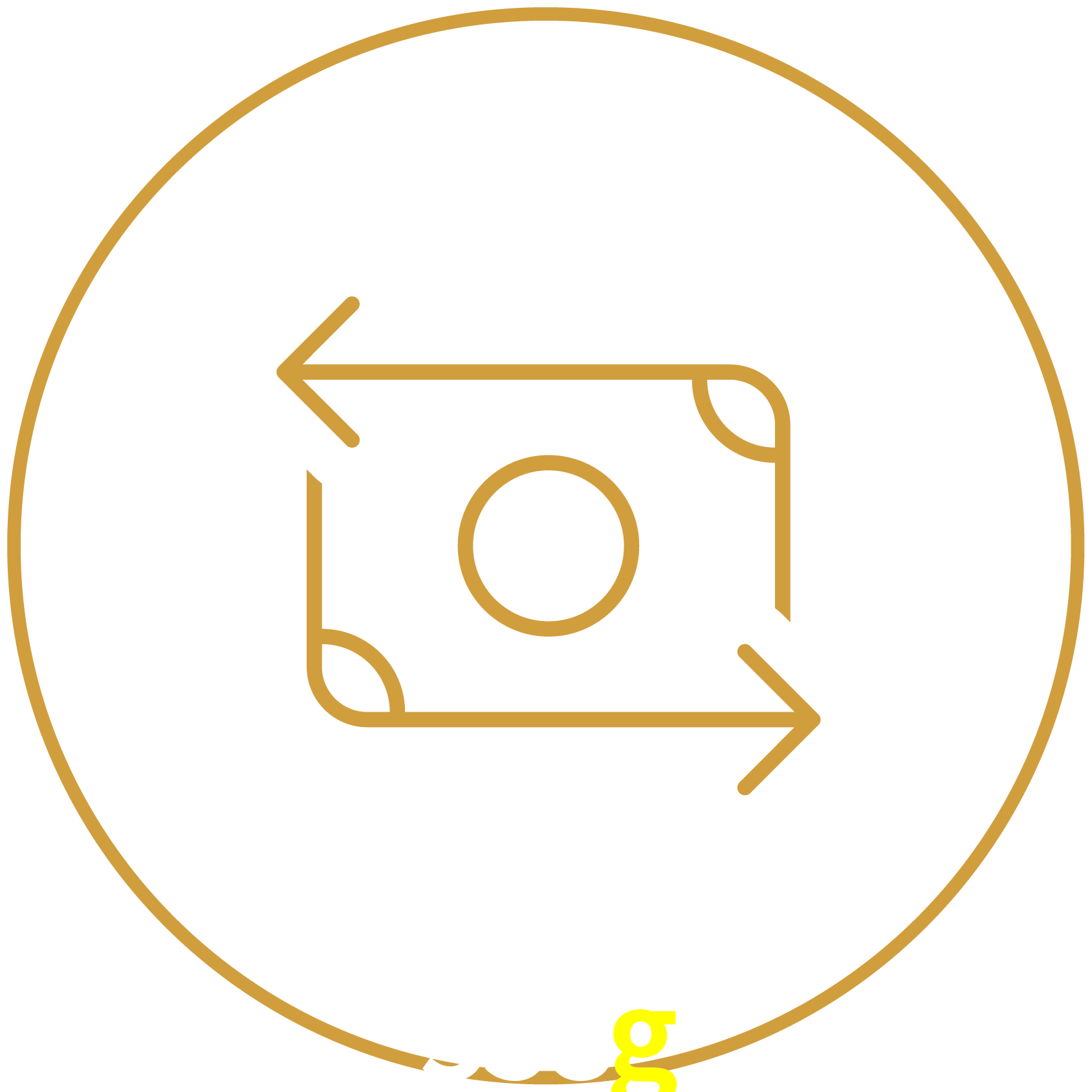 558g Uso gratuito do bônus